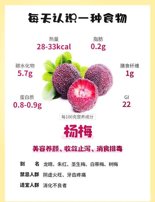 杨梅渊源 杨梅渊源